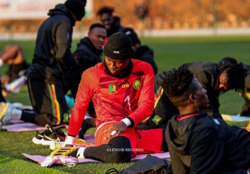 African Nations Championship Algérie  2022